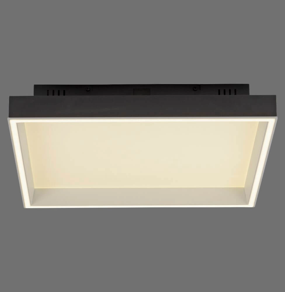 Black ceiling lamp Q-Magong square Paul Neuhaus 4012248384602