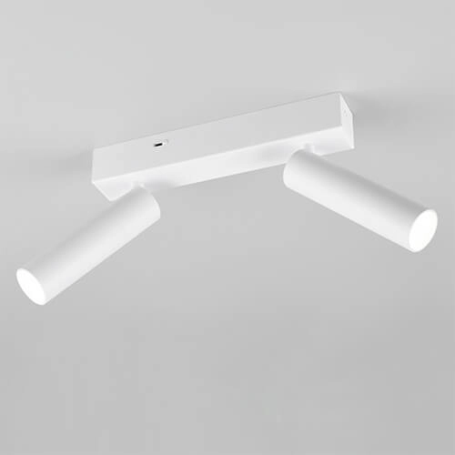 Slim ceiling spotlight Ambala 2x LED - White