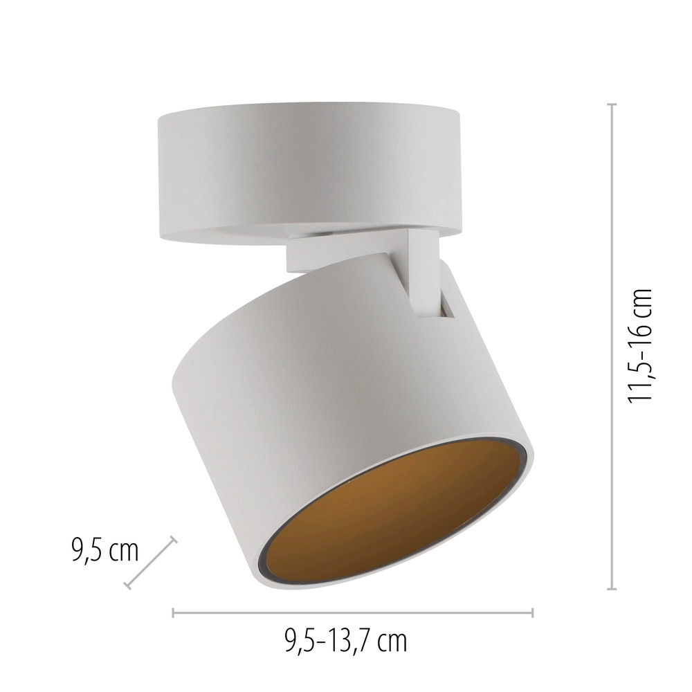 Sleek surface-mounted spot Pure Cup snow white Paul Neuhaus 4012248395578