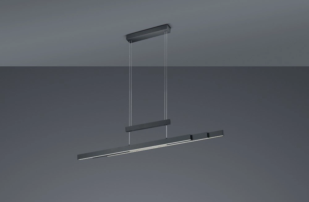 Adjustable hanging lamp Trajan Matt black Trio 4017807472233