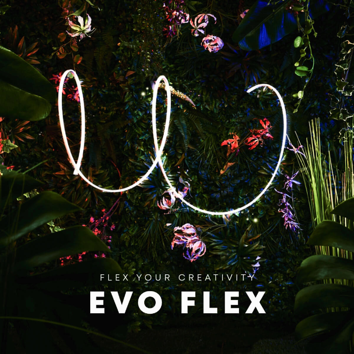 EVO FLEX 1 In-lite 8717051005343