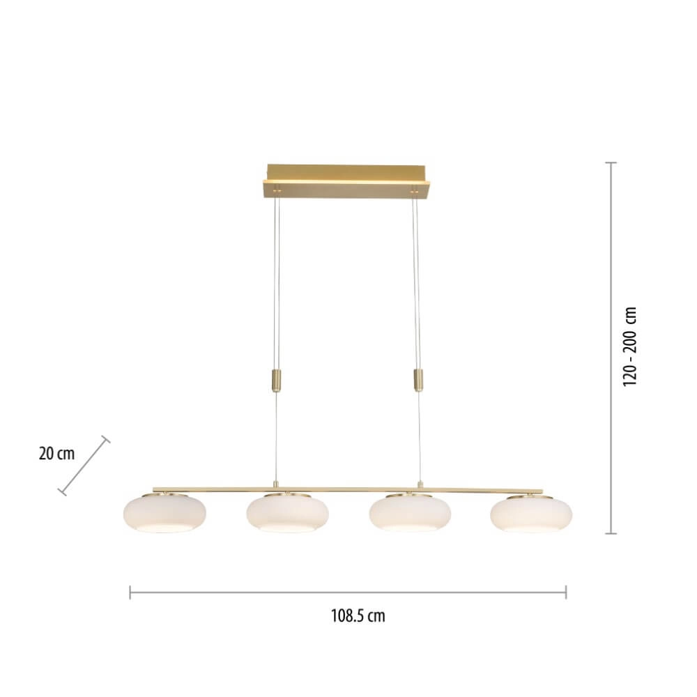 4-light pendant lamp Q-Etienne brass straight Paul Neuhaus 4012248350478
