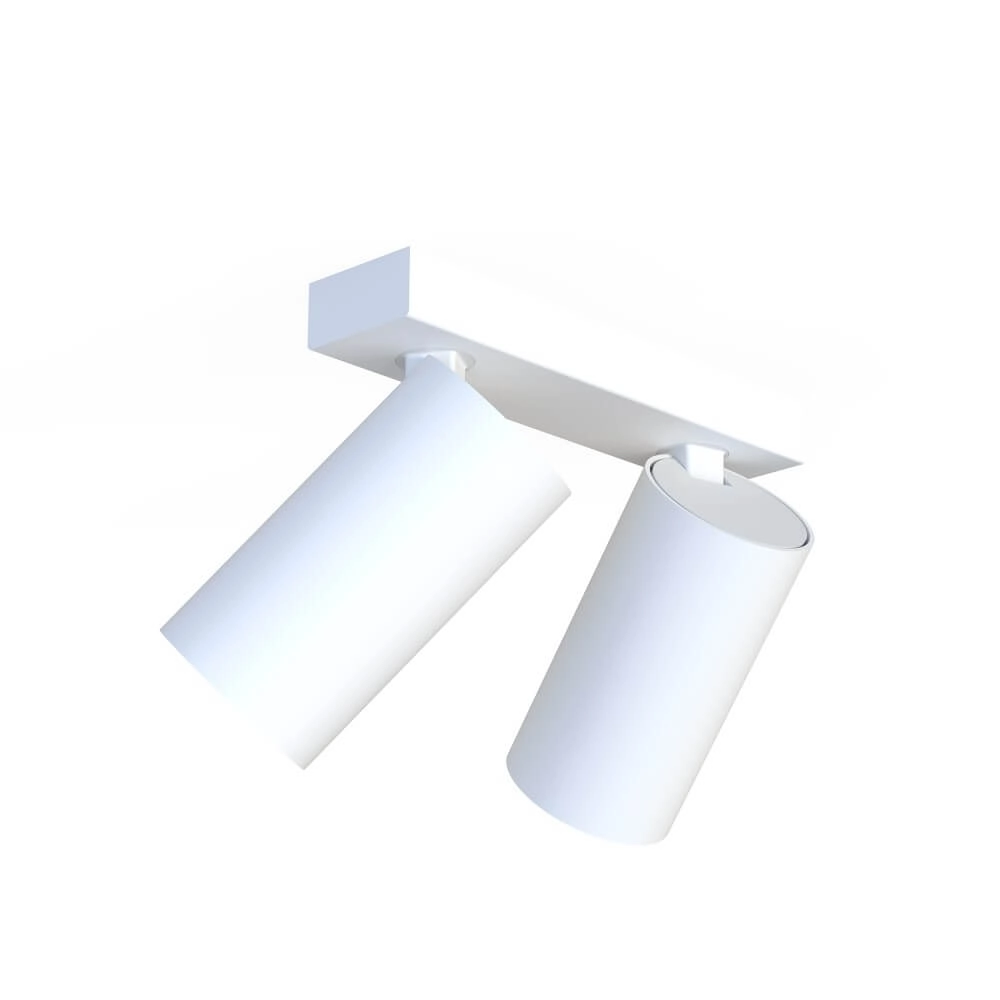 White surface-mounted spotlight Mono 2-light tilting Lyora 5903139781091