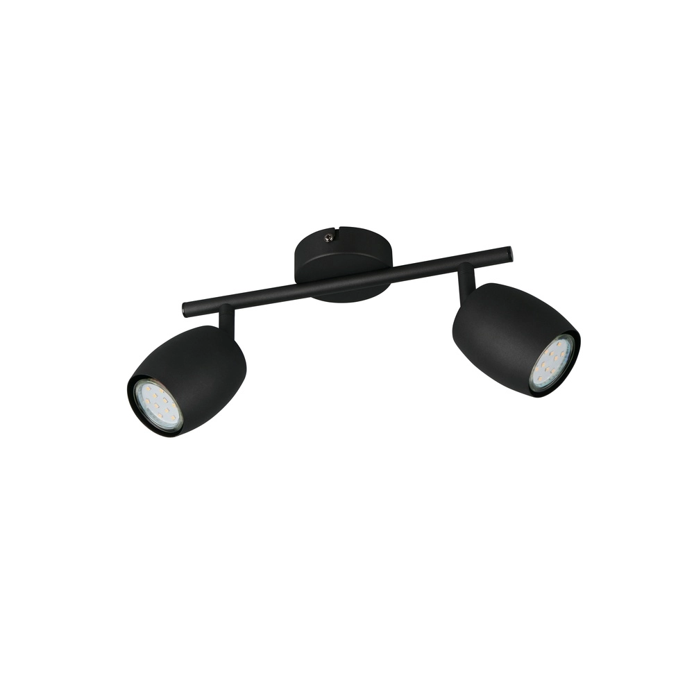 Ceiling lamp Nancy 2-light black Trio 4017807656602