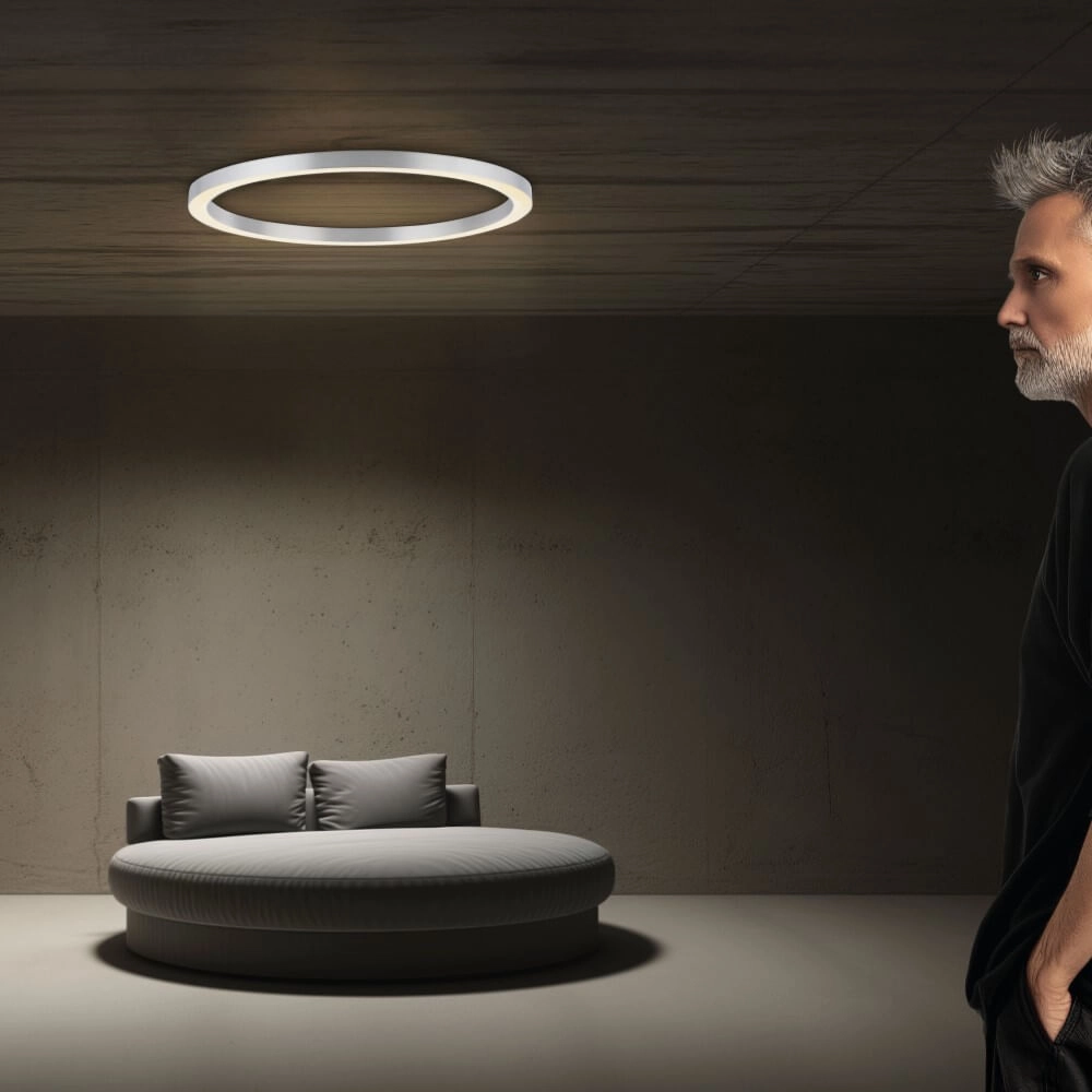 Round floor lamp Pure Lines Round Ø 70cm aluminum Paul Neuhaus 4012248373538