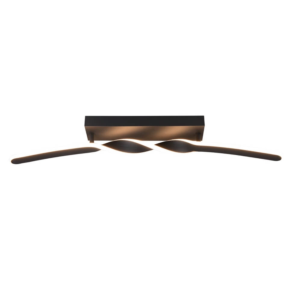 Design ceiling lamp Ginko black Trio 4017807642520