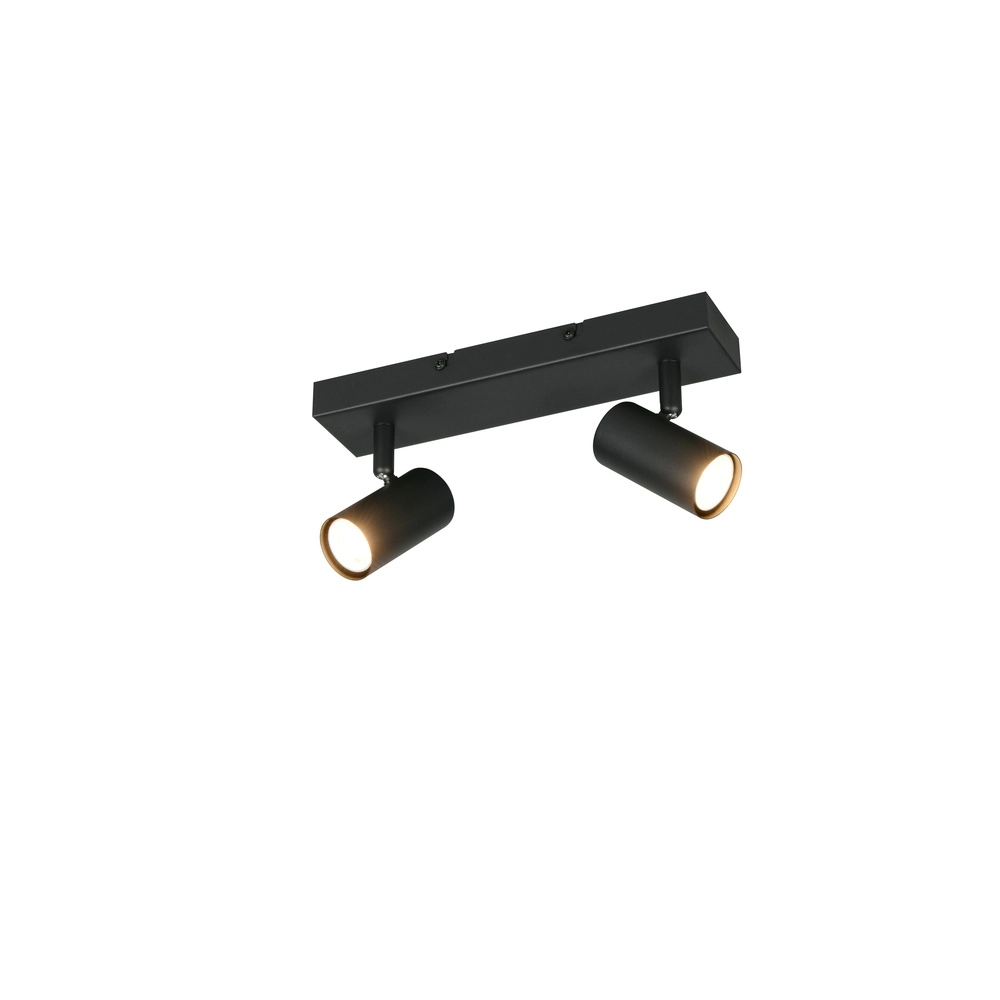 Surface-mounted spot Taryn 2-light black Trio 4017807685558