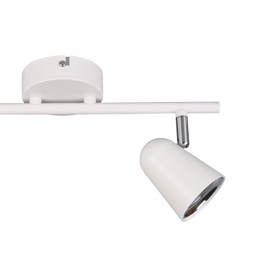 Ceiling spot Toulouse 2-light Trio 4017807425147