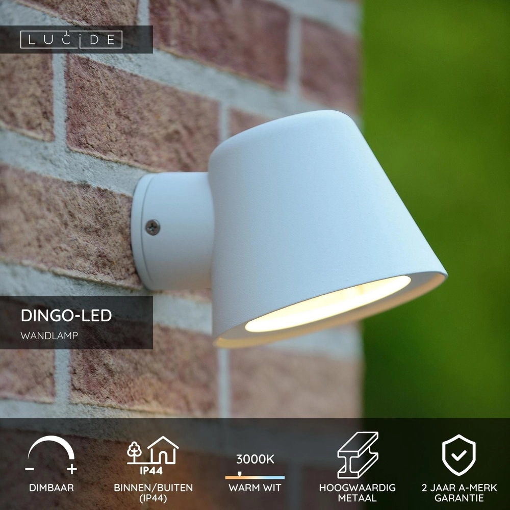 Wall spotlight Dingo-Led IP44 white Lucide 5411212143822