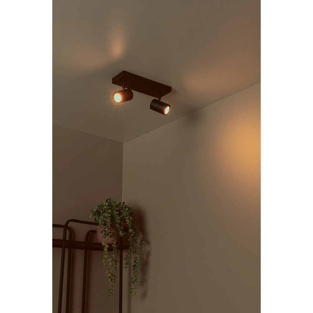 Ceiling lamp Amigo 2-light black Lucide 5411212531018