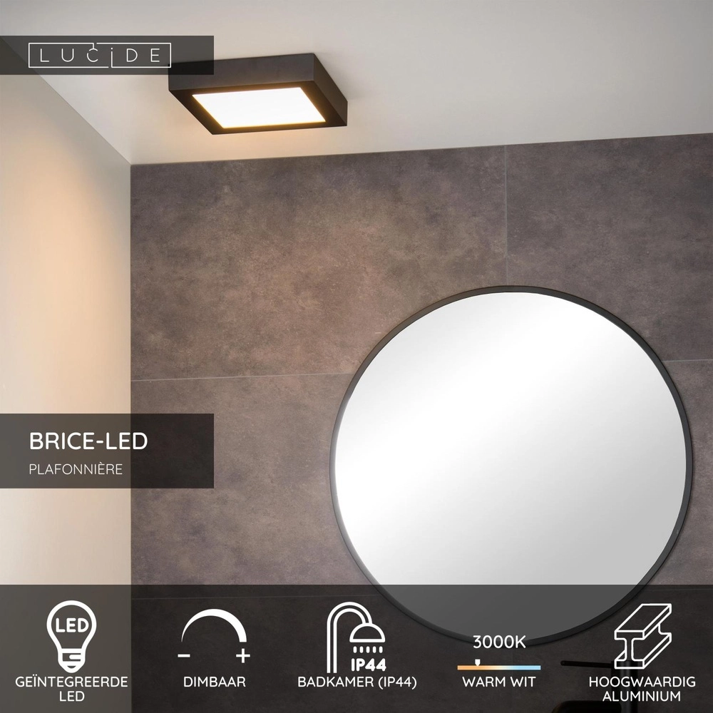 Ceiling light Brice-Led 22cm square IP44 black Lucide 5411212281265
