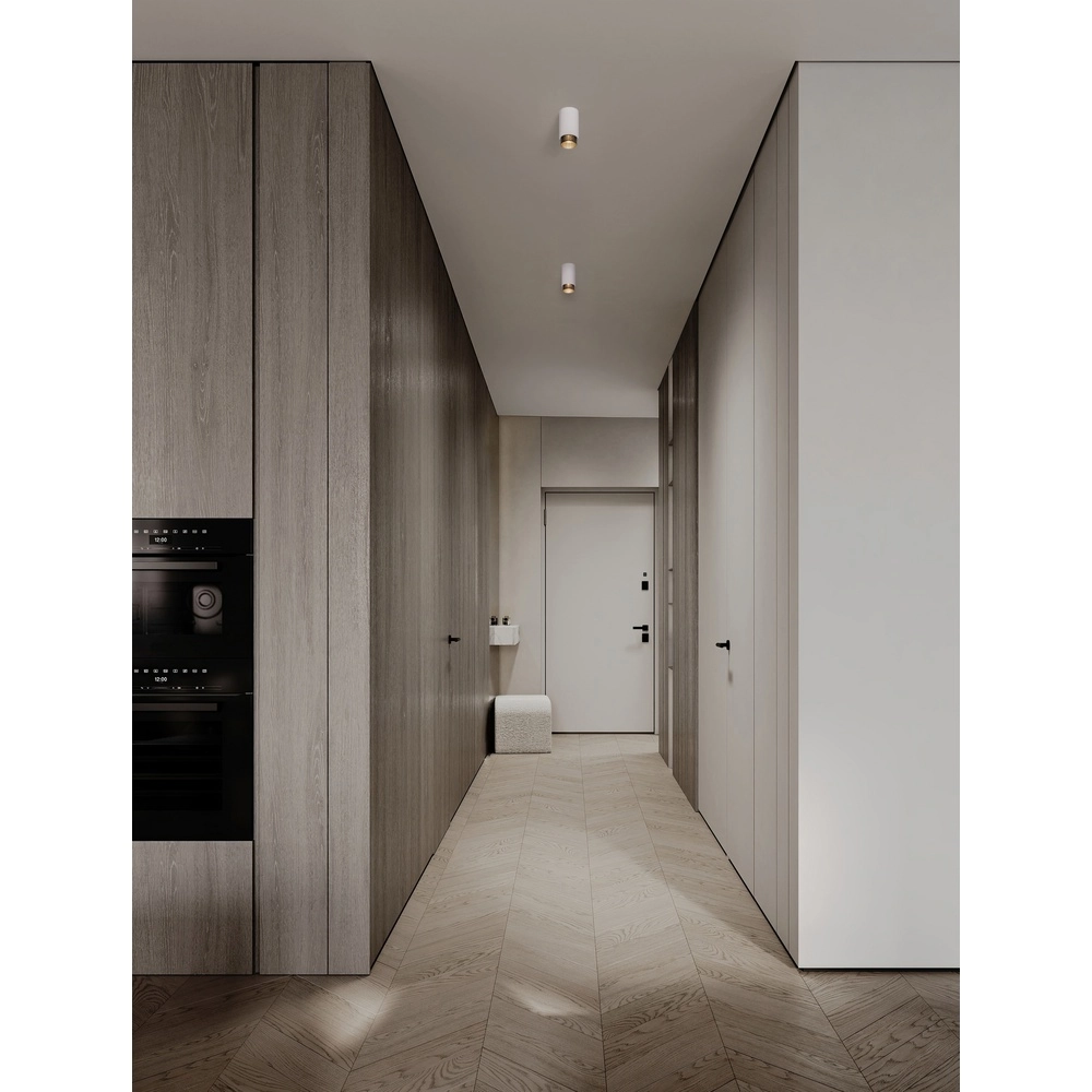 Ceiling spotlight Nessi white with black Lyora 5212017475114