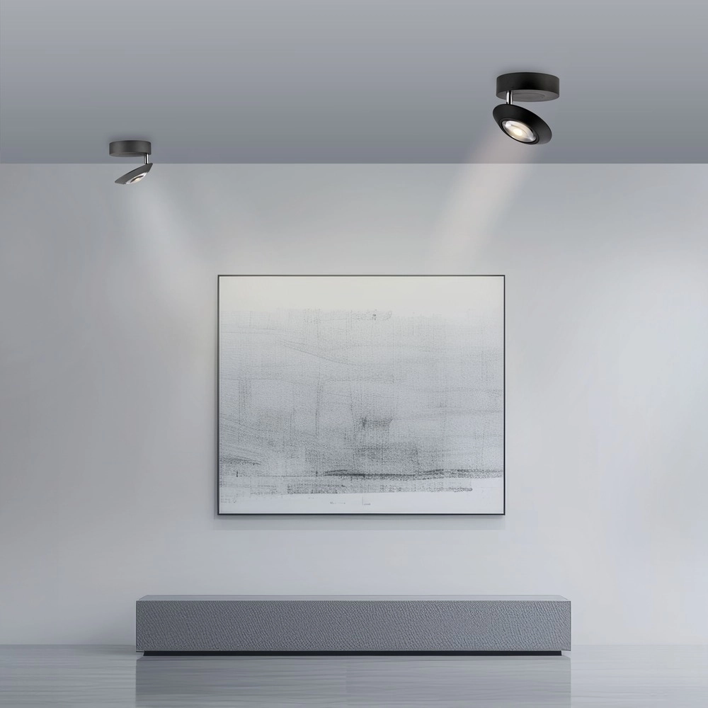 Led ceiling spot Pure Oculis black pearl Paul Neuhaus 4012248397053