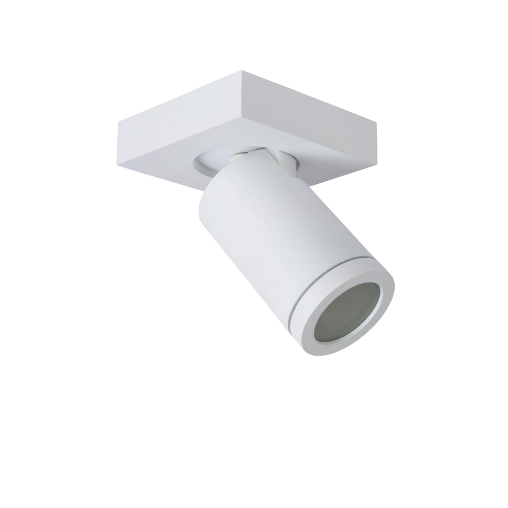 Ceiling spotlight Taylor IP44 white only