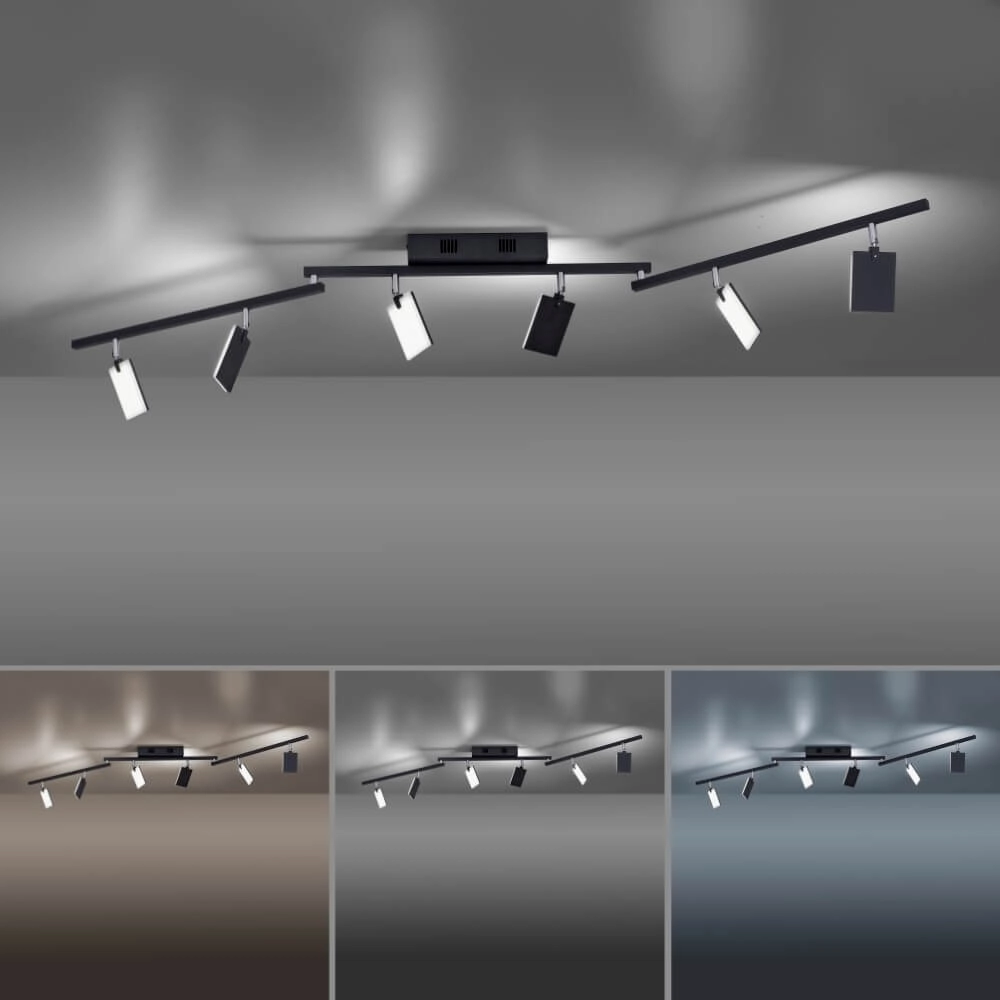 Ceiling lamp Pure Mira 6-light black Paul Neuhaus 4012248359464