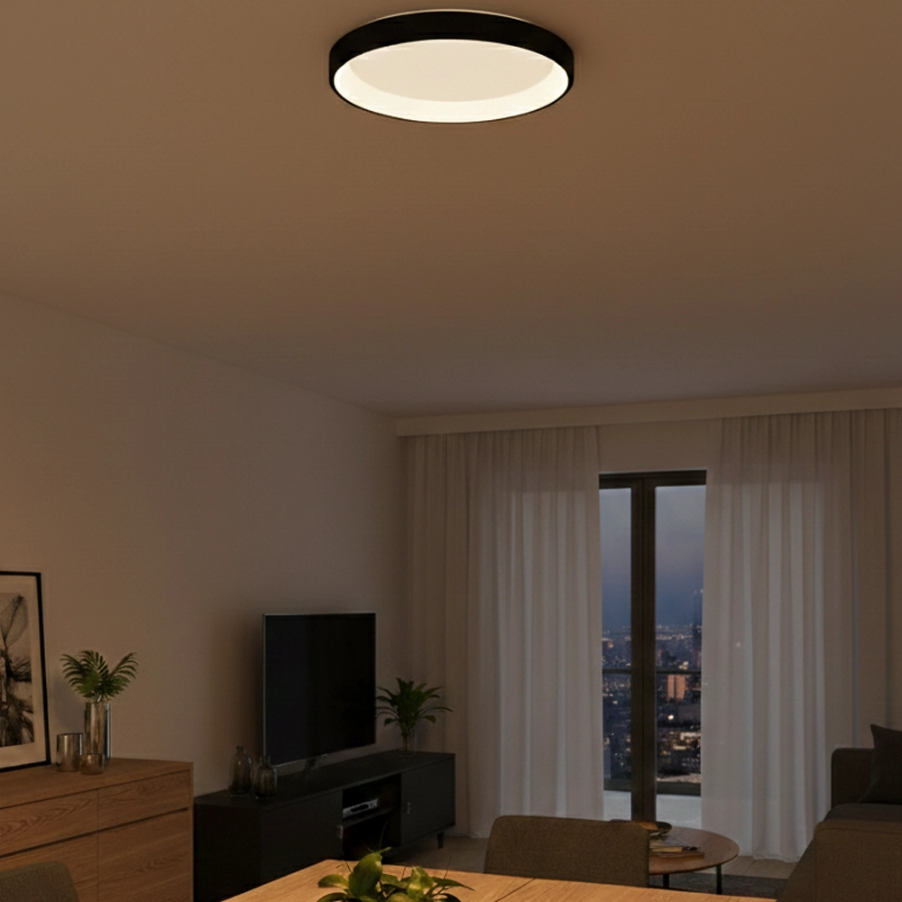 Ceiling lamp Albi black Ø 61cm