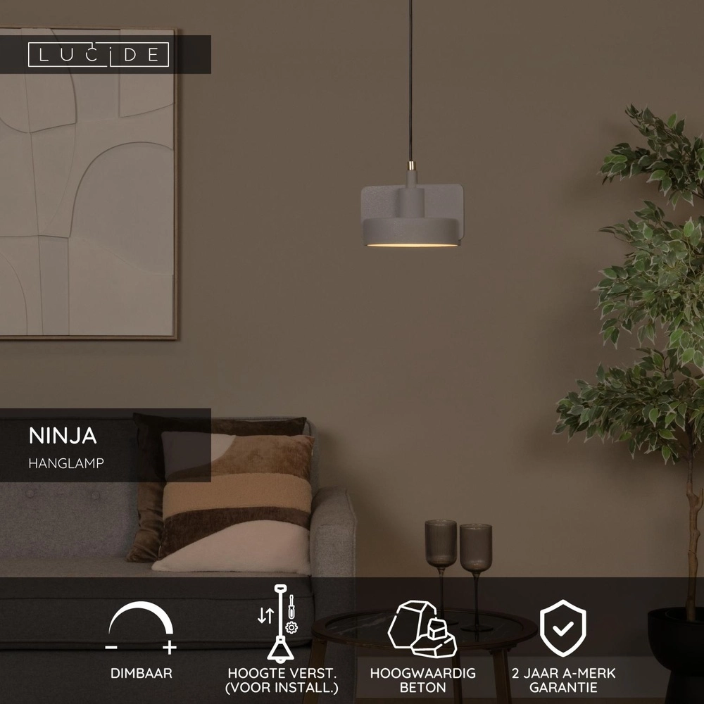 Design pendant lamp Ninja grey Lucide 5411212441812