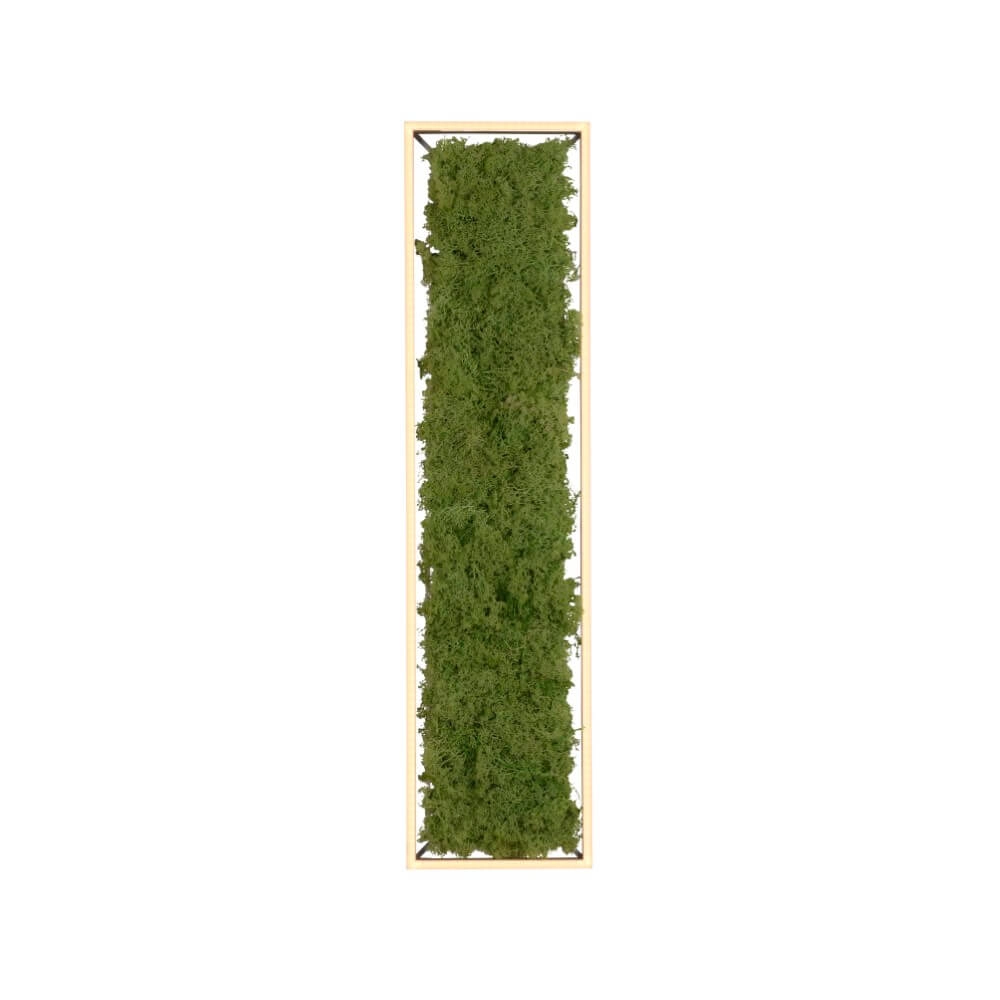 Rectangular ceiling lamp Green Knut with moss Just Light 4043689994846