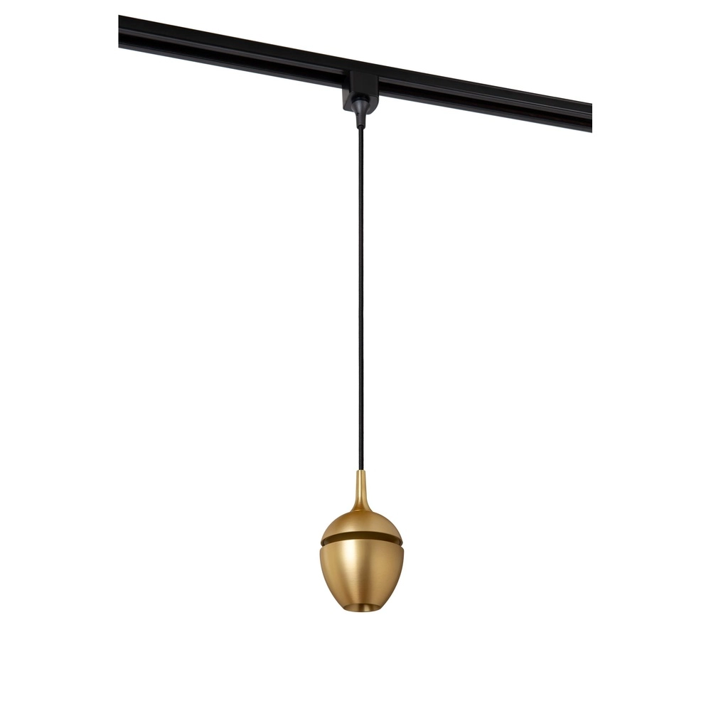 Rail pendant light Track Preston 1-phase gold
