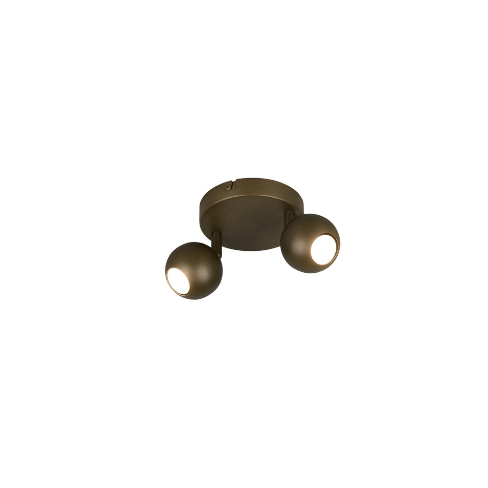 Surface-mounted spot Enaro 2-light platinum