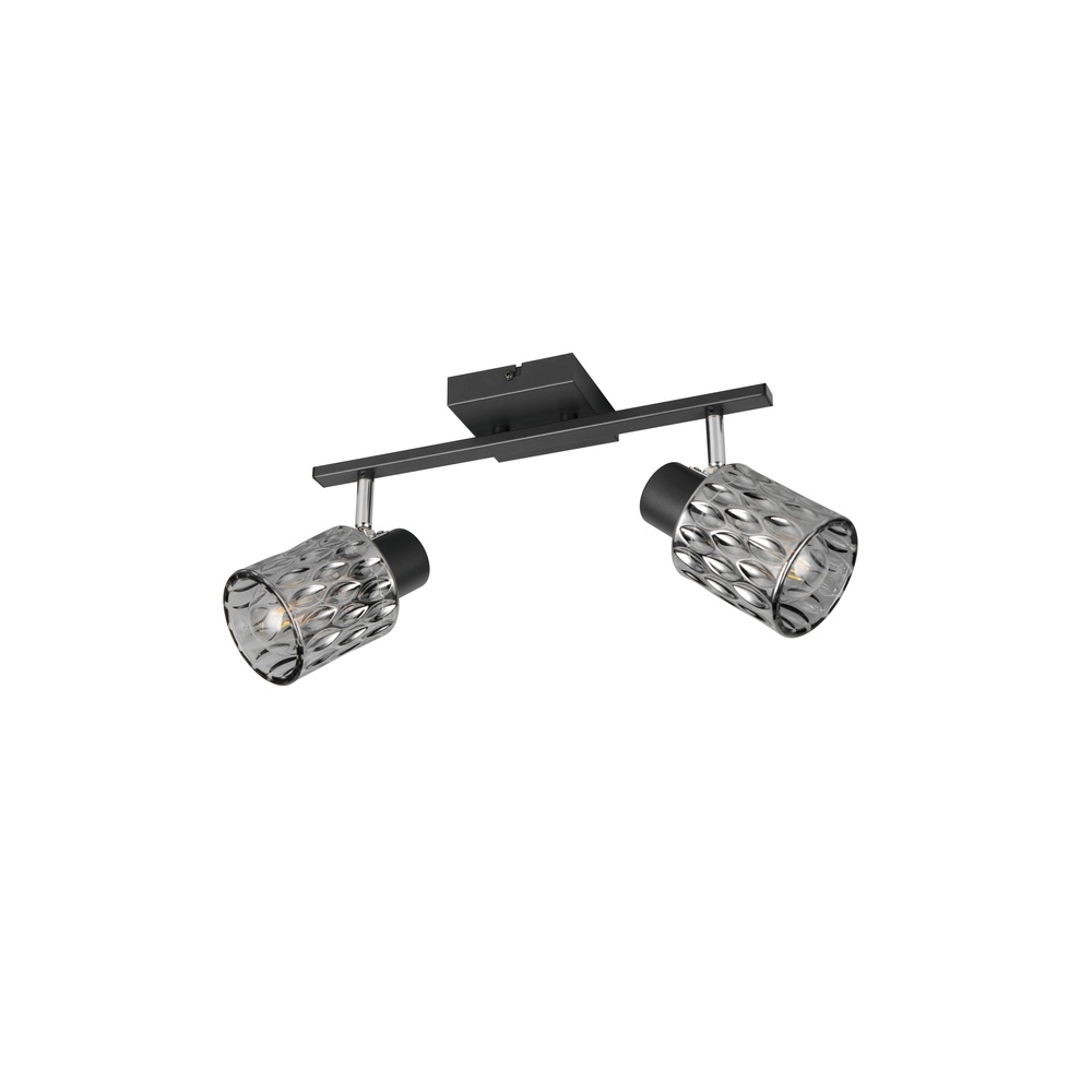 Ceiling lamp Jack black 2-lights Trio 4017807643862