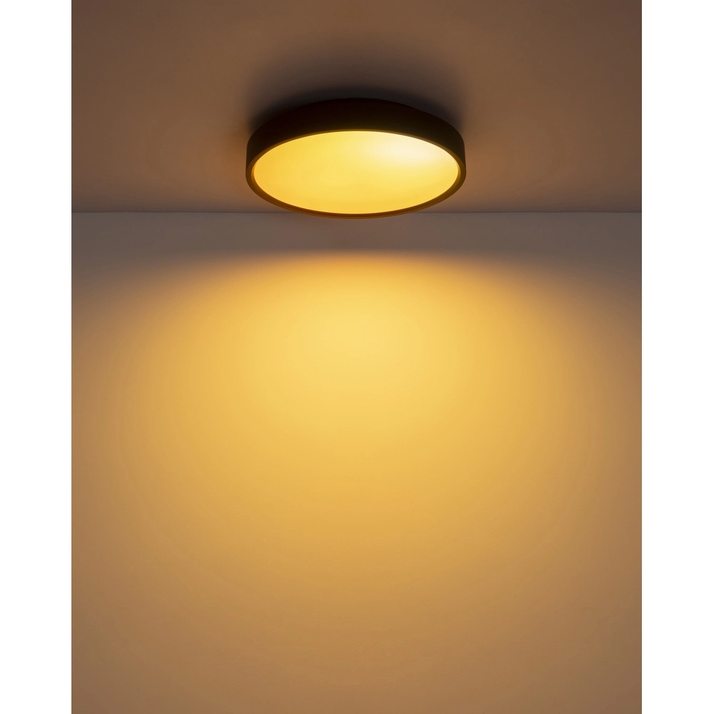 Ceiling light Jess Black Globo 9007371592470
