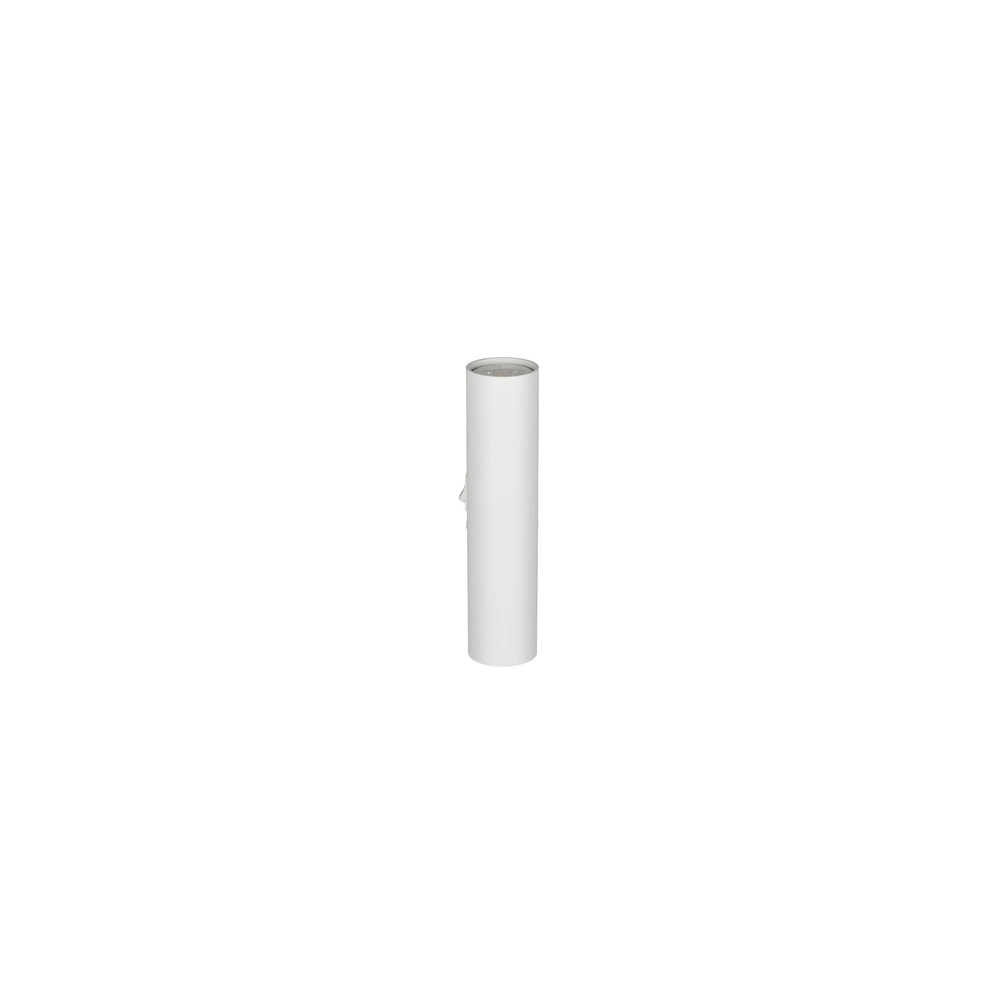Surface-mounted spot Taryn white Trio 4017807688726