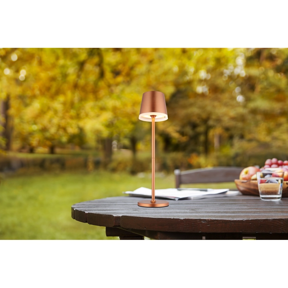 Solar table lamp Vannieso Champagne Globo 9007371487356