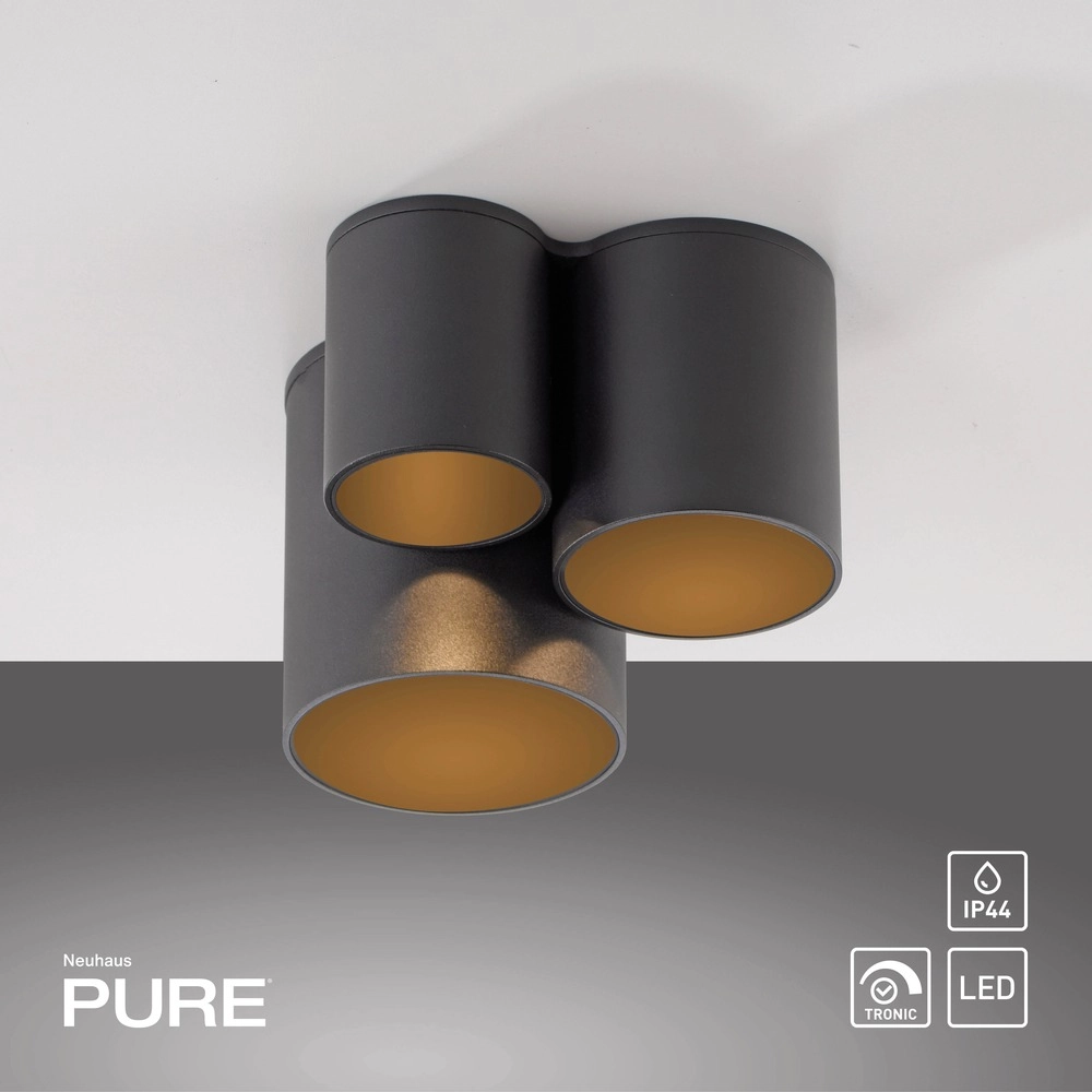 3L ceiling light Pure Point black pearl Paul Neuhaus 4012248395714