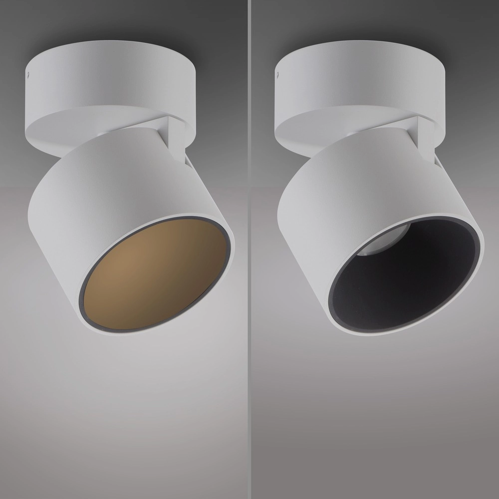 Sleek surface-mounted spot Pure Cup snow white Paul Neuhaus 4012248395578