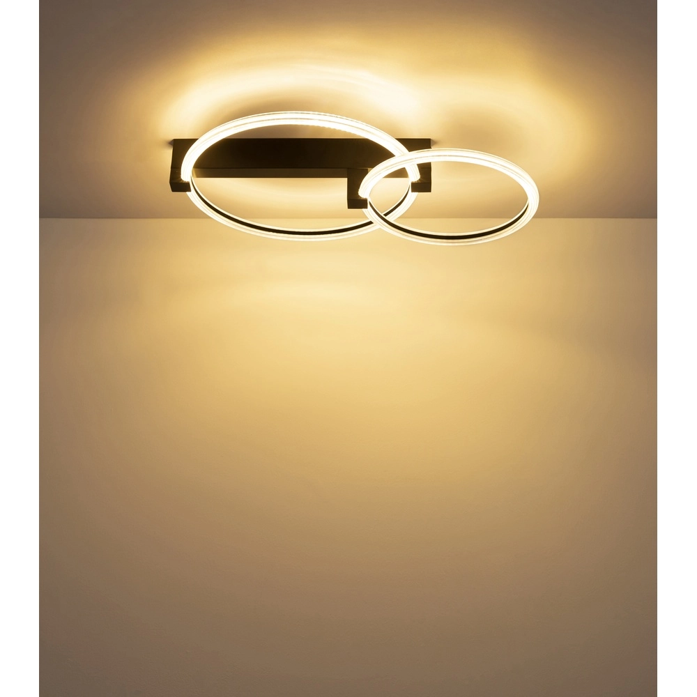 Black ceiling lamp Fletcher Design Globo 9007371589289