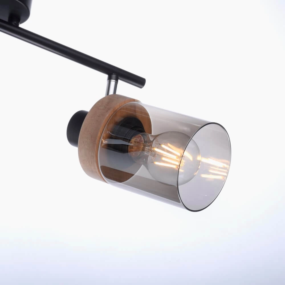 Ceiling lamp Pasqual 2-light black Just Light 4043689986117