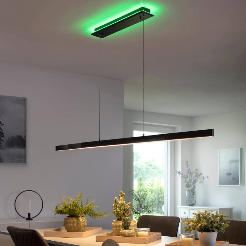 Modern pendant lamp Q-Arian anthracite Paul Neuhaus 4012248359846