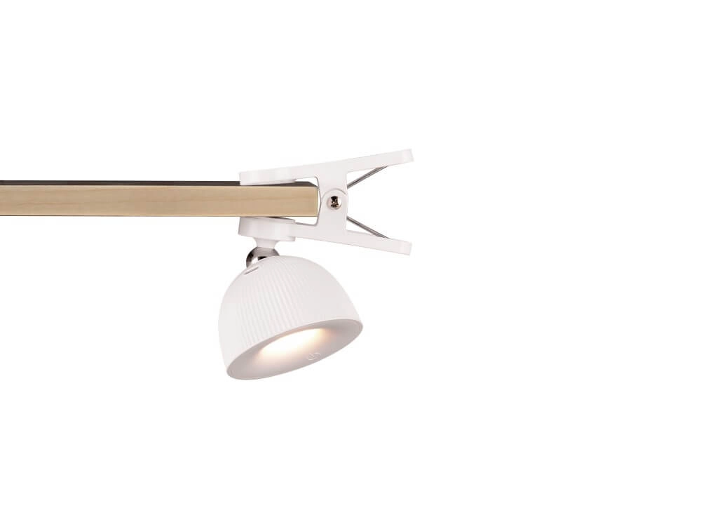 Multifunction light Maxima white Trio 4017807601954