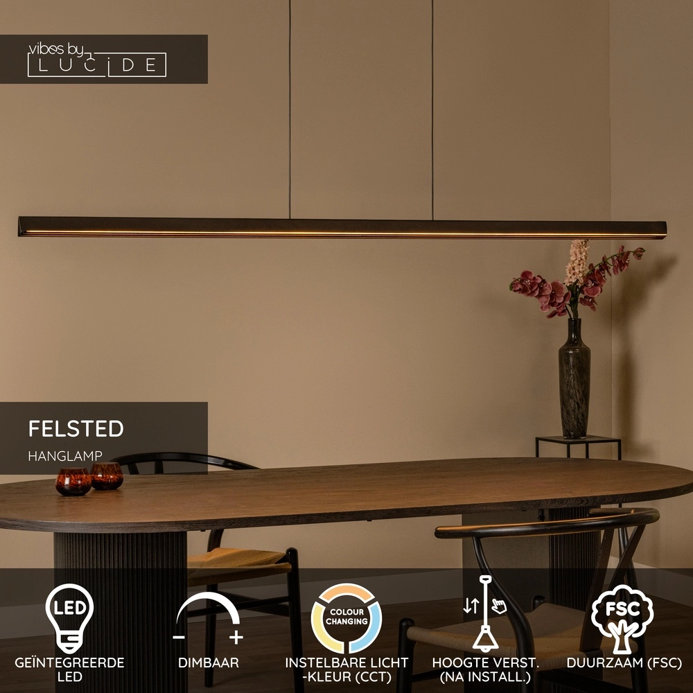 Design pendant lamp Felsted black 180cm Lucide Vibes 5411212011077