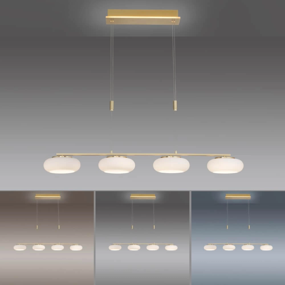 4-light pendant lamp Q-Etienne brass straight Paul Neuhaus 4012248350478