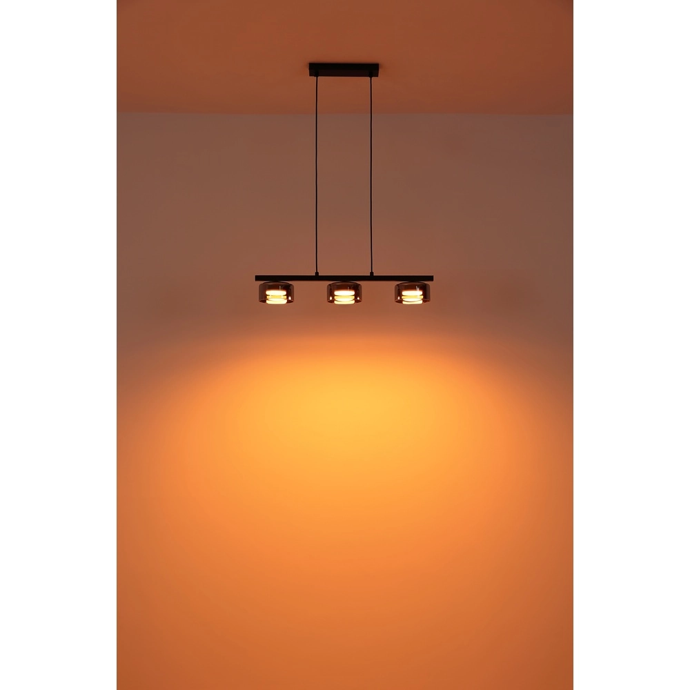 Design pendant lamp Higgins Black Globo 9007371533817