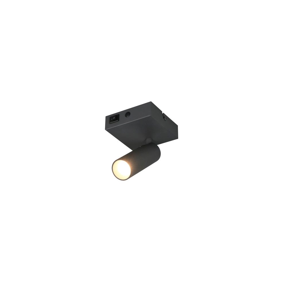 Surface-mounted spot Dara anthracite