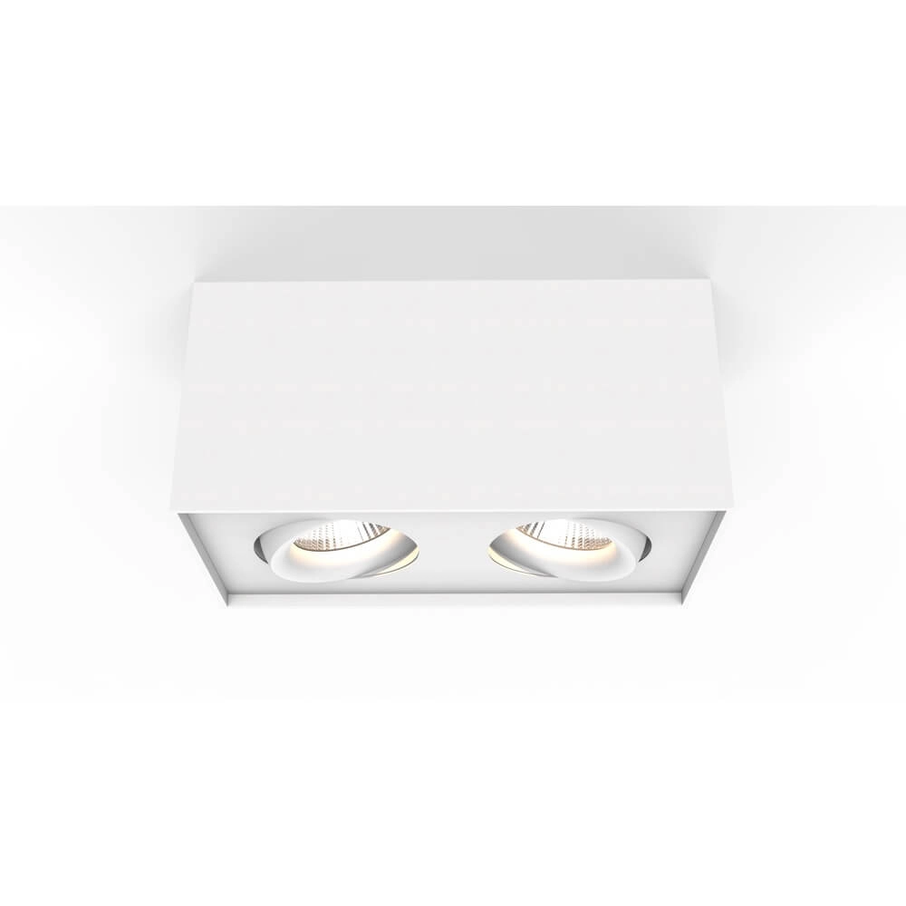 Double LED surface-mounted spotlight Iblocc white Lyora 4255805301425