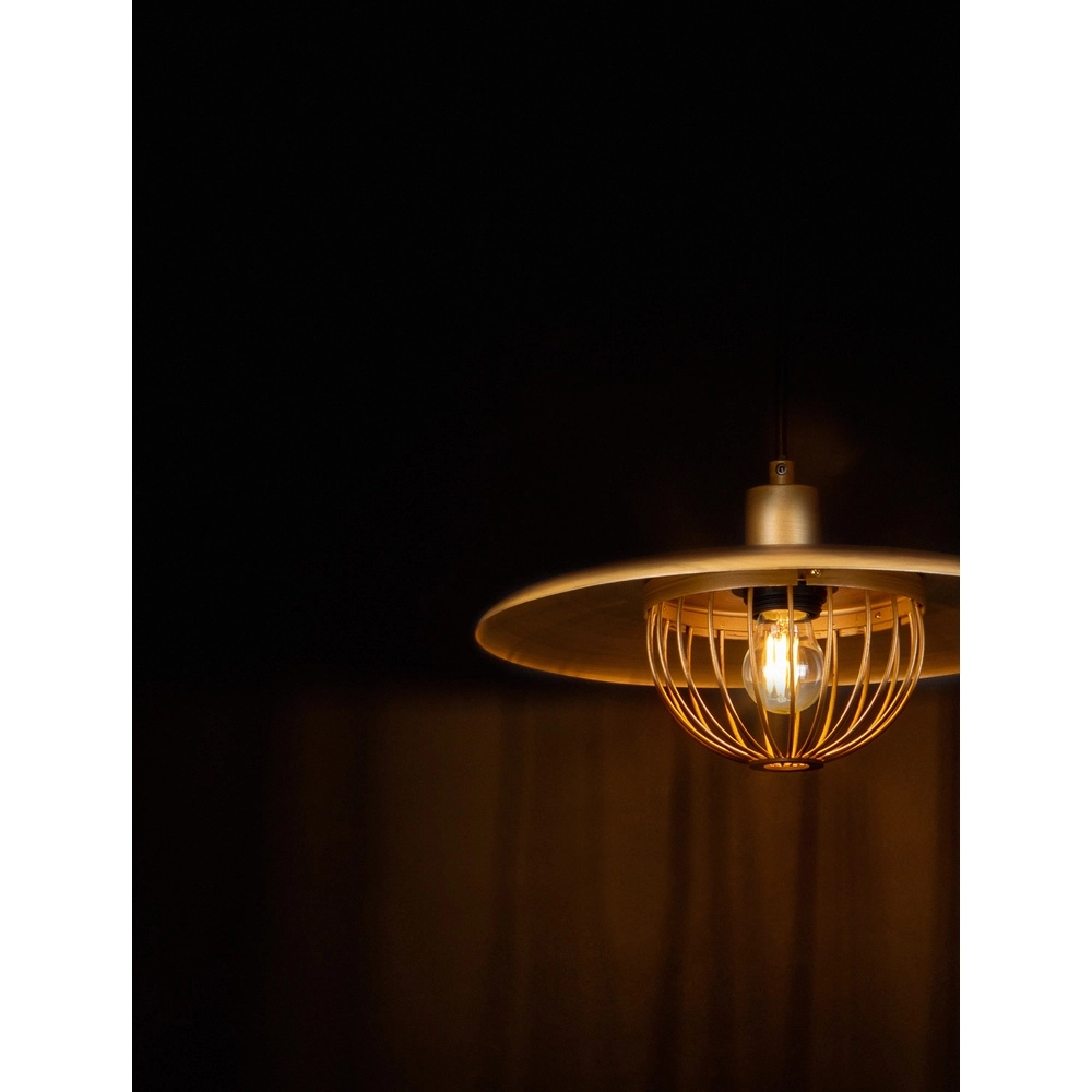 Pendant lamp Fox gold Lyora 5212017433527