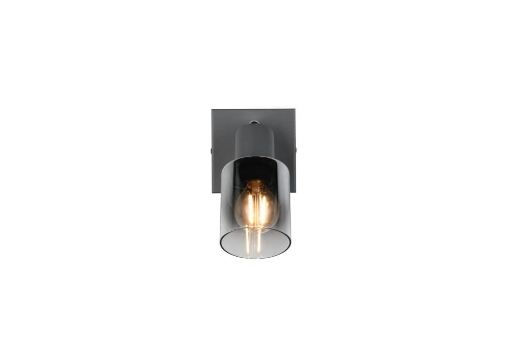 Black wall light Cadiz with smoke glass Trio 4017807615753