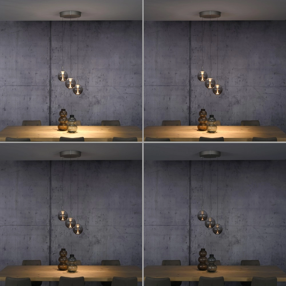 Vide pendant lamp Pure E-Infinty Bronce with amber glass Paul Neuhaus 4012248398166