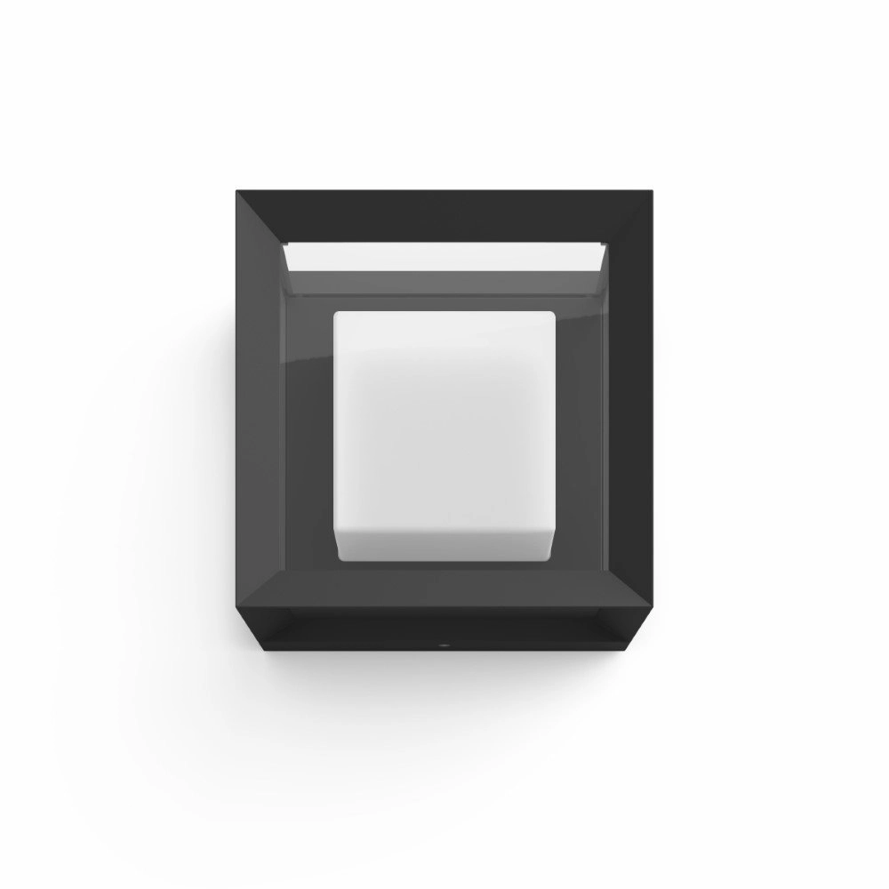 Square wall lamp Hue Econic Showcase black Philips 8718696170564