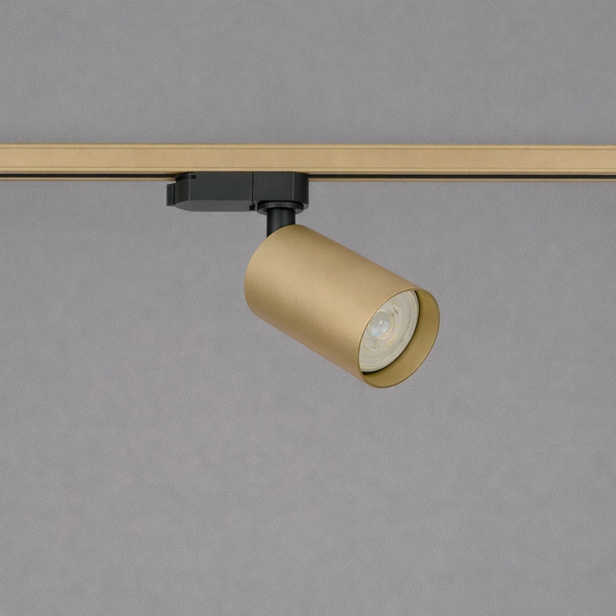 Rail spot TraQ Orion Gold Lyora 5053423317069