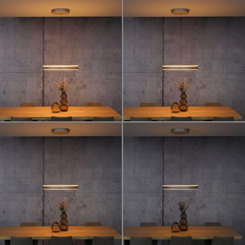 Office pendant lamp Pure E-Loop bronce - Ø 70cm Paul Neuhaus 4012248398364