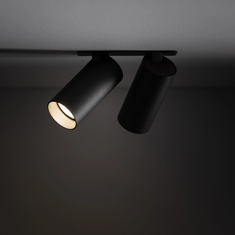 Double recessed spotlight Fourty Orientable - dark grey Lyora 5903139114738
