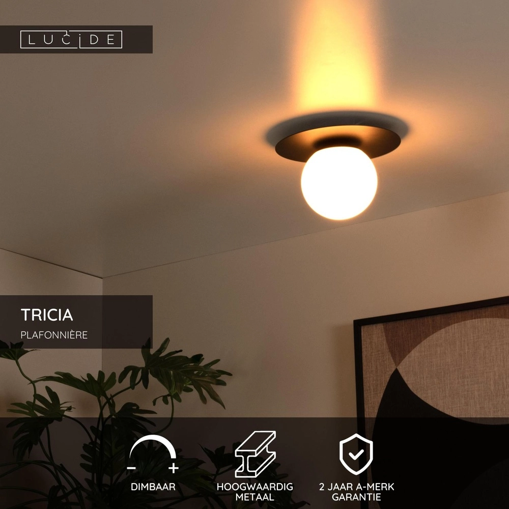 Ceiling lamp Tricia black with white sphere Lucide 5411212791993