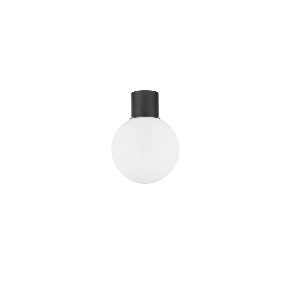Ceiling lamp Spix anthracite with white convex glass Lyora 5212017476432