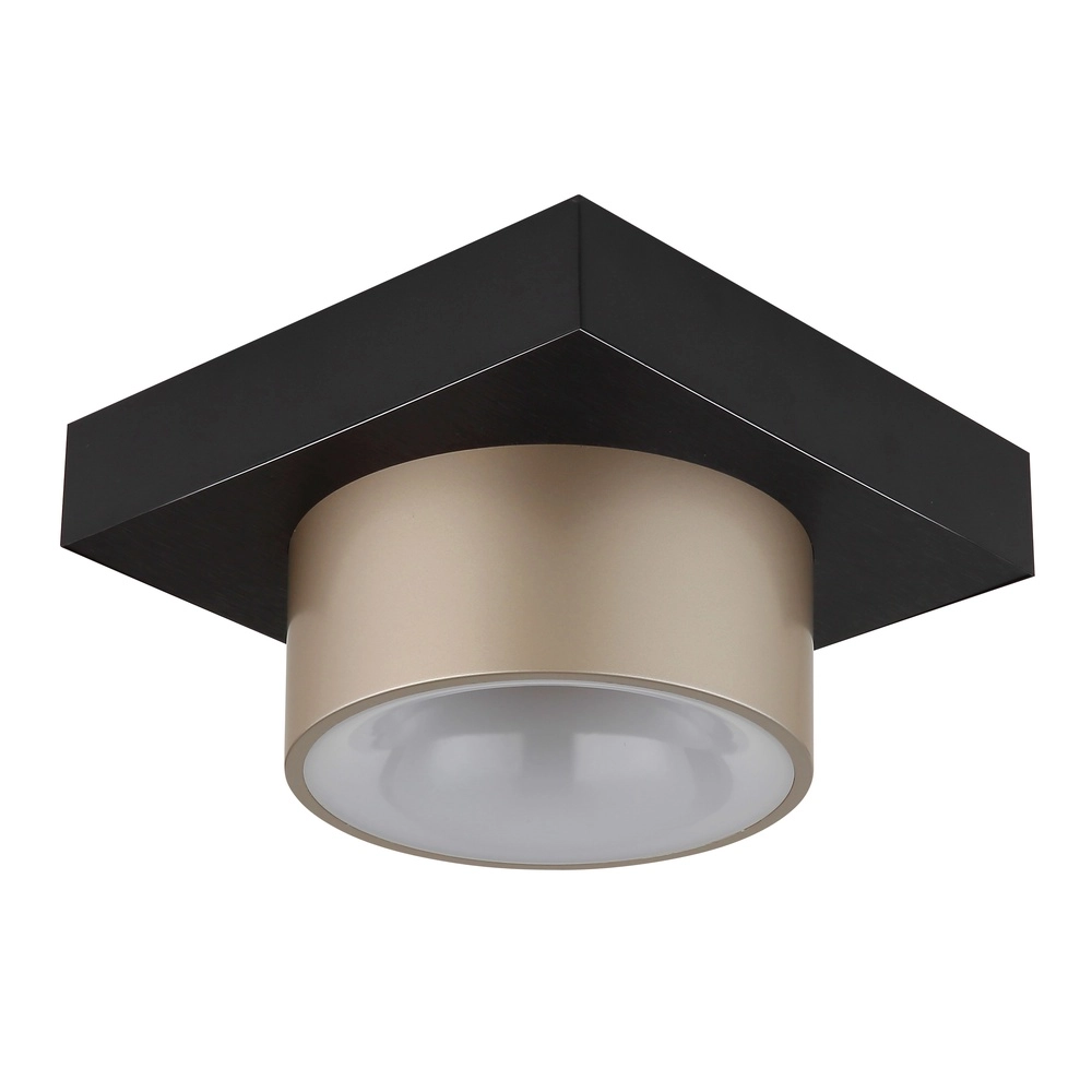 Ceiling lamp Raymond black with champagne Globo 9007371569373