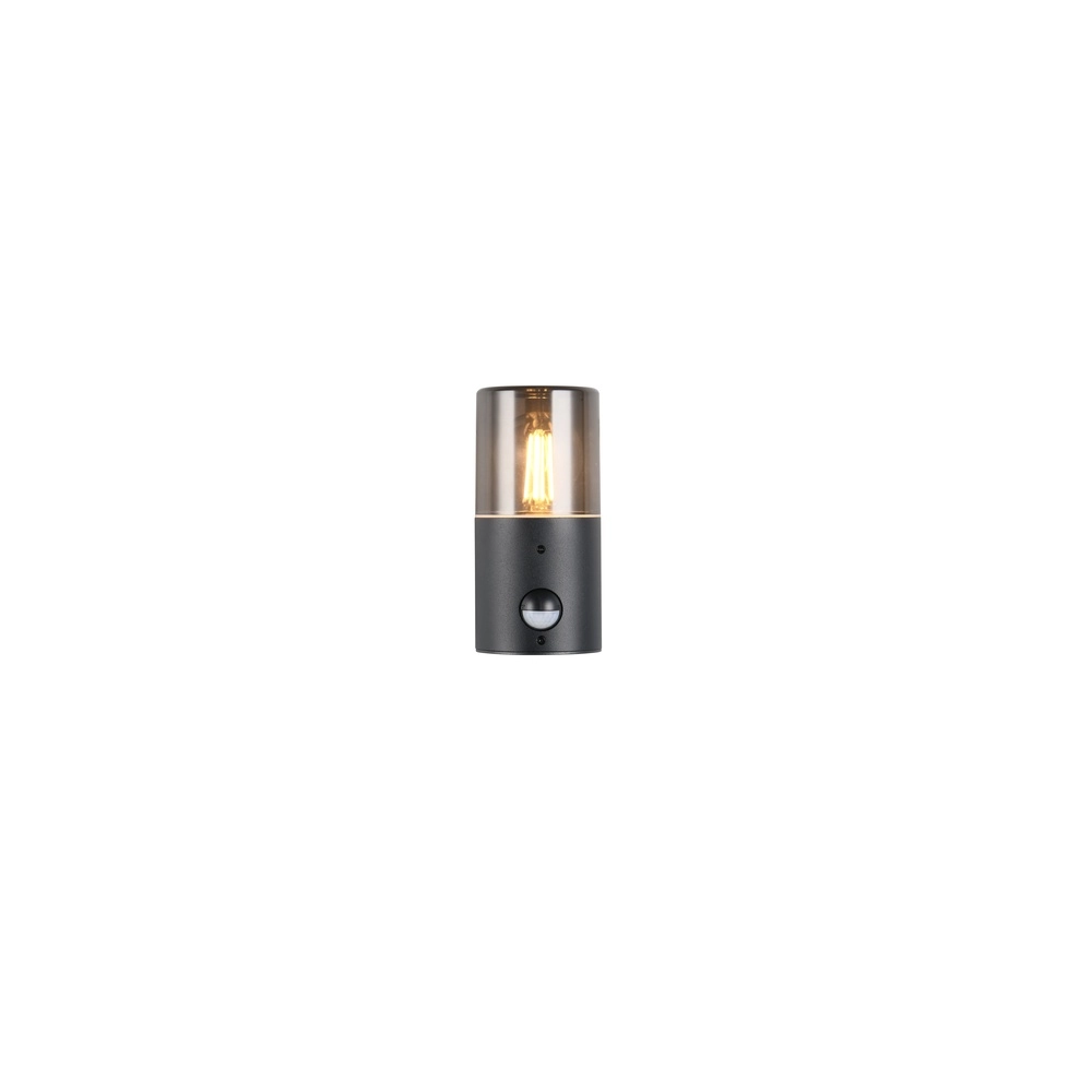Wall lamp Hoosic only with sensor Trio 4017807603620